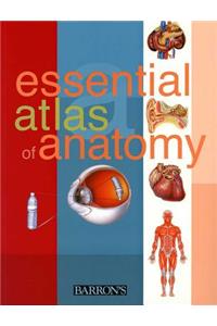 Essential Atlas of Anatomy