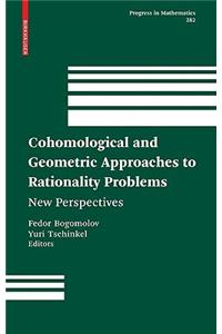 Cohomological and Geometric Approaches to Rationality Problems