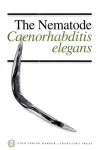 Nematode, Caenorhabditis Elegans