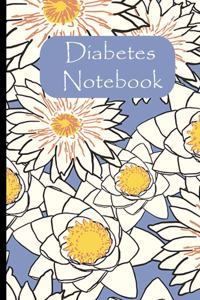 Diabetes Notebook