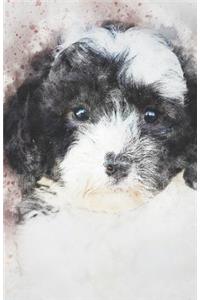 2019-2020 Academic Planner Weekly and Monthly Kindhearted Dog