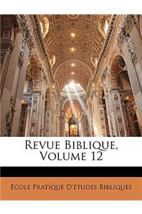 Revue Biblique, Volume 12