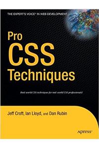 Pro CSS Techniques (Experts Voice)