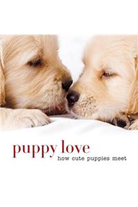 Puppy Love: How Cute Puppies Meet: How Cute Puppies Meet