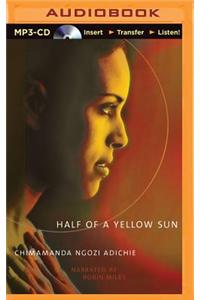 Half of a Yellow Sun