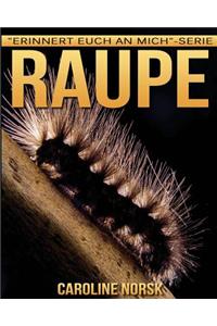 Raupe