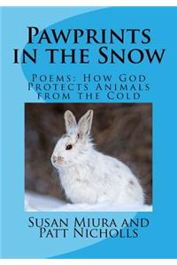 Pawprints in the Snow