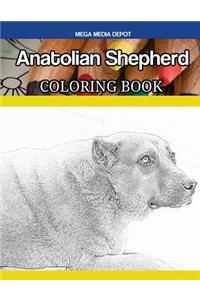 Anatolian Shepherd Coloring Book