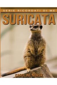 Suricata