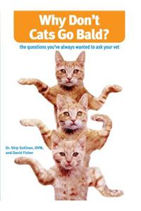 Why Don't Cats Go Bald?