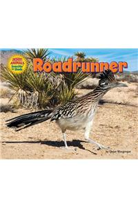 Roadrunner