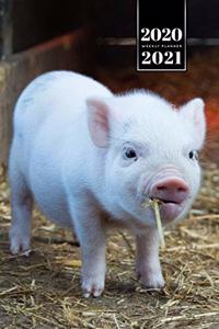 Pig Pork Piglet Farming Farmer Week Planner Weekly Organizer Calendar 2020 / 2021 - Small but Hungry