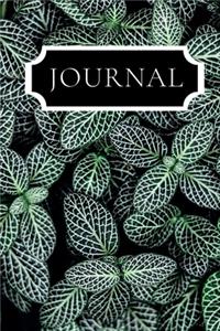 Journal
