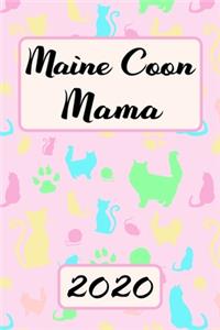 Maine Coone Mama 2020
