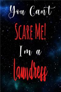 You Can't Scare Me! I'm A Laundress