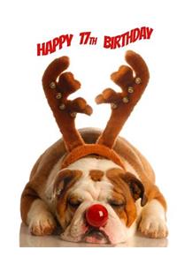 Happy 17th Birthday: Discreet Internet Website Password Organizer, Logbook, Journal, Keeper or Notebook, Funny Sleeping Dog, Birthday Gifts for 17 Year Old Boys or Girls, Teenagers, Son or Daughter, Granddaughter or Grandson, Christmas Babies, Book