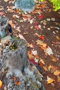 2019 Daily Planner Fall Foliage Leaves Ground Tree Stump 384 Pages