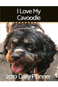 I Love My Cavoodle