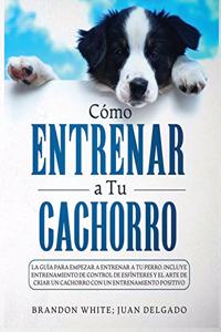 Cómo entrenar a tu cachorro