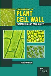 Fundamentals Of Plant Cell Wall Patterning And Cell Shape