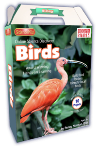 Online Discovery Birds