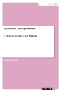 L'habitat informel en Afrique