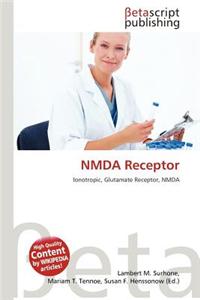 Nmda Receptor