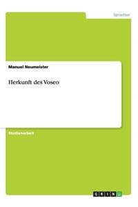 Herkunft des Voseo