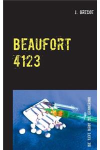 Beaufort 4123