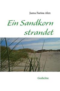 Ein Sandkorn strandet