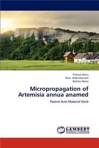Micropropagation of Artemisia Annua Anamed