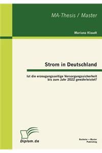 Strom in Deutschland - Ist die erzeugungsseitige Versorgungssicherheit bis zum Jahr 2022 gewährleistet?