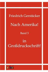 Nach Amerika!