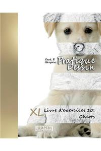 Pratique Dessin - XL Livre d'exercices 10