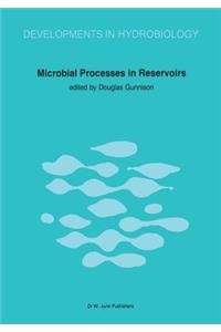 Microbial Processes in Reservoirs