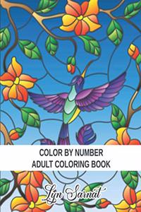 Color By Number Adult Coloring Book