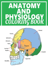 Anatomy And Physiology Coloring Book