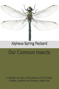 Our Common Insects