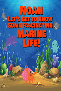Noah Let's Get to Know Some Fascinating Marine Life!