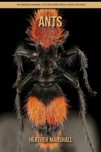 Ants