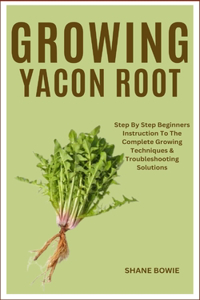 Growing Yacon Root