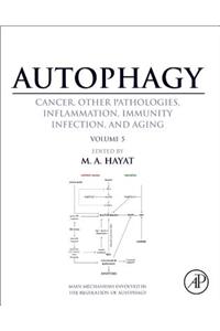 Autophagy: Cancer, Other Pathologies, Inflammation, Immunity, Infection, and Aging