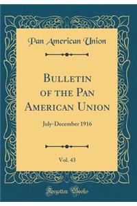 Bulletin of the Pan American Union, Vol. 43: July-December 1916 (Classic Reprint)