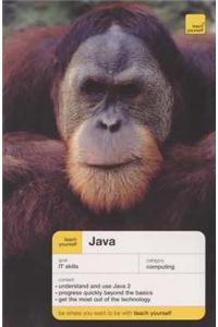 Teach Yourself Java New Edition