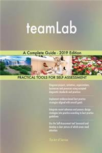 teamLab A Complete Guide - 2019 Edition