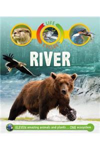 Life Cycles: River