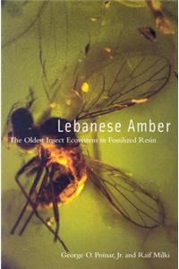 Lebanese Amber