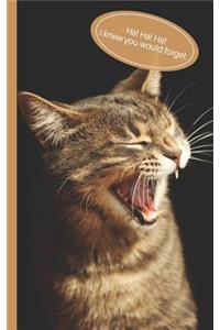 Ha! Ha! I Knew You Would Forget