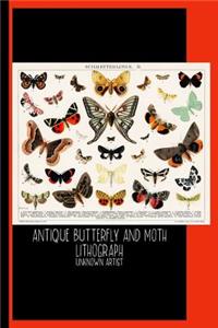 Antique Butterfly and Moth Lithograph Original Antique Insect Print by Unknown Artist (1894)