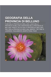 Geografia Della Provincia Di Belluno